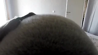 POV inflation